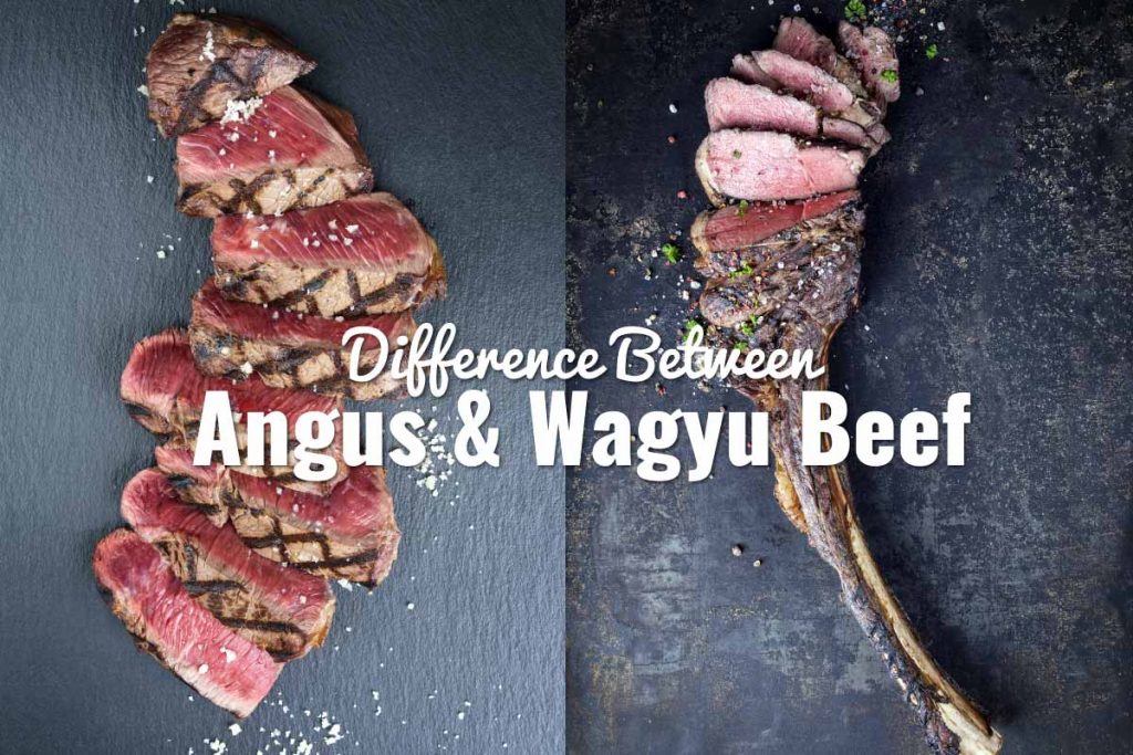 Difference-Between-Angus-and-Wagyu-Beef-header